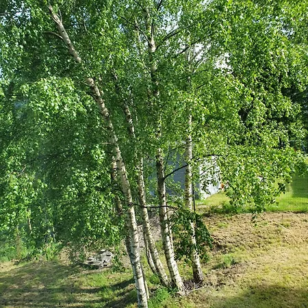 Balasana - Dom Na Wylacznosc * Szklarska Poreba