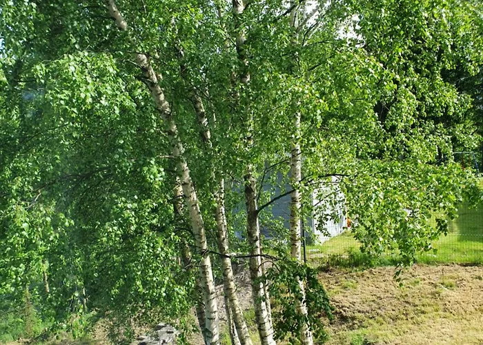 Balasana - Dom Na Wylacznosc * Szklarska Poręba